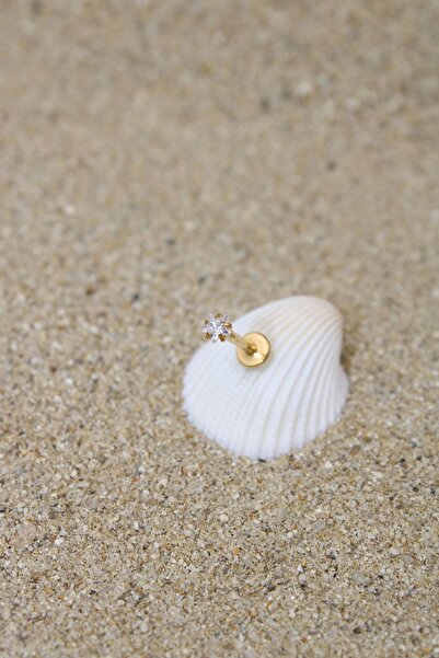 NOBLE GETTO Piercing Cerrahi Çelik Piercing Zirkon Taşlı Kıkırdak Tragus Conch Helix Gold Renk Yıldız Labret