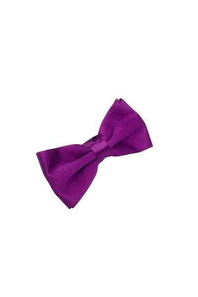 Brianze Satin Bow Tie - Dark Purple Solid Color