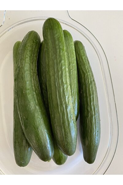 Genel Markalar Salatalık taze 1 kg