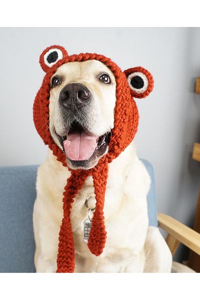 TRENDİN YOLU Frog Dog Hat Funny Cute Handmade