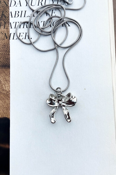 roshel Çelik Kararmaz İnce Zincir Fiyonk Uçlu Gümüş Renk Kolye