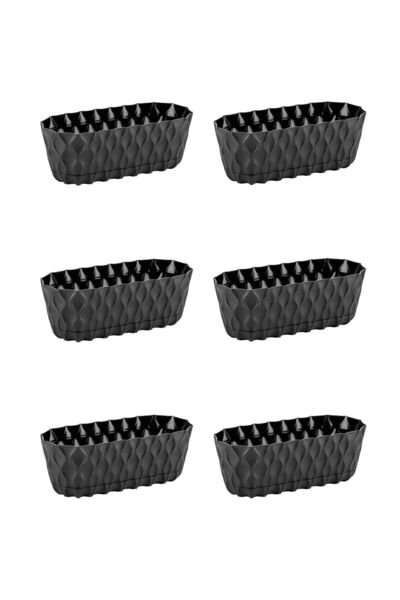 ToXA 6 Adet Elmas Uzun Saksı Seti 0,43 Litre Siyah 17cm Kaktüs Menekşe Sukule...