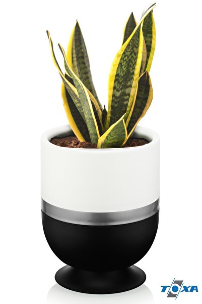 ToXA Drenajlı Süzgeçli 1.6 Litre Ayaklı Kordon Oval Saksı Plastik Çiçek Saksı...