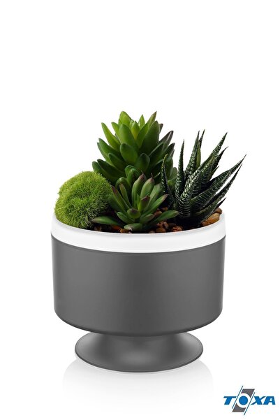 ToXA Güveç Dik Ayaklı Saksı 1.1 Litre Antrasit Aranjman Menekşe Sukulent Saksısı