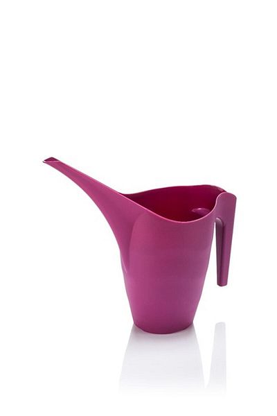 ToXA 2Lt Watering Can Two Liter Decorative Plastic Flower Plant Cactus Succulent Wetting Tool