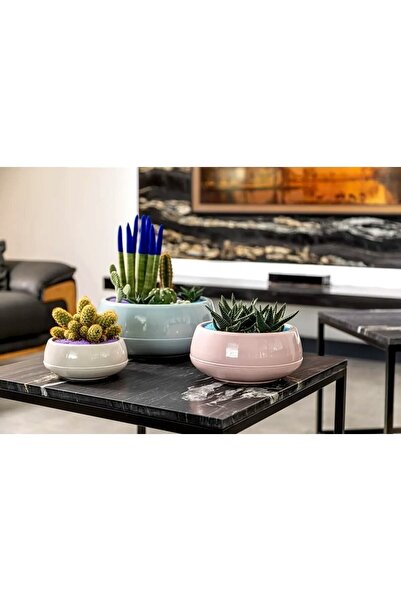 ToXA Elvan Aranjman Saksı 0,86 Litre Soft Pembe 17cm Menekşe Kaktüs Sukulent Saksısı Parlak Plastik No1