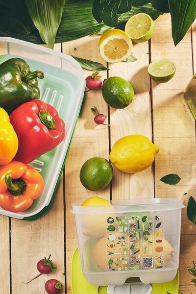 Tupperware Greenhouse Series Vegetable Fruit Storage Container 4.4 Lt