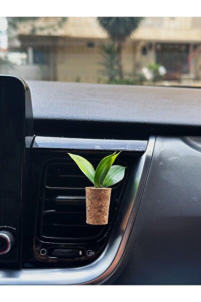 Plantarrium Design Oto Aksesuar/koku-saksı