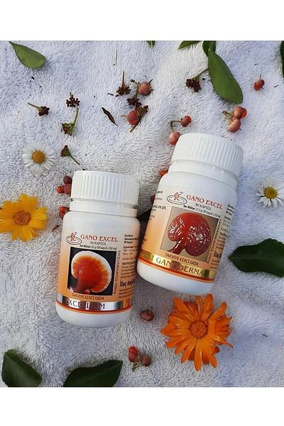 GanoExcel Excellium 90 + Ganoderma