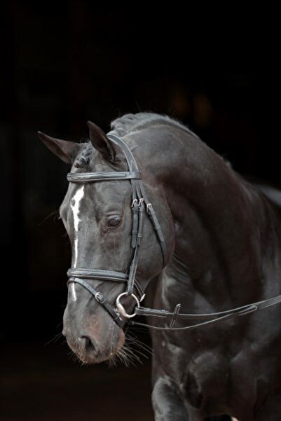 cavalliero Başlık Pony siyah