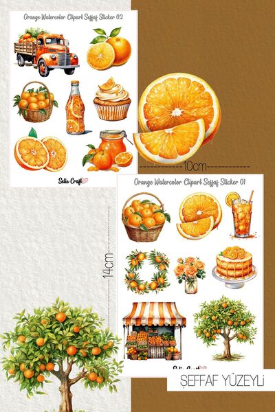 SelisCraft Portakal Temalı Şeffaf Sticker Seti 01-02 Ajanda Planlayıcı Bullet...