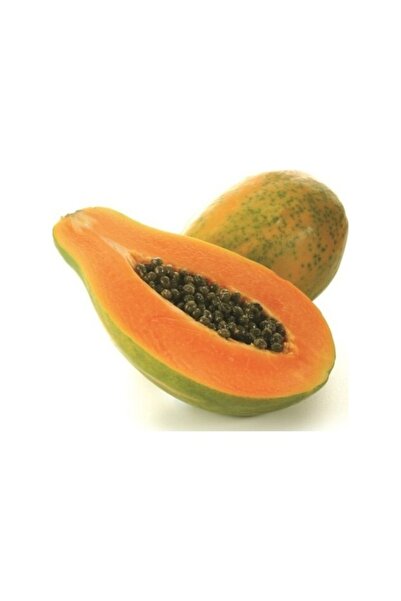 Köy Tohumları 10 Adet Tohum Nadir Bulunan Papaya Meyve Tohumu Papaya Ağacı To...