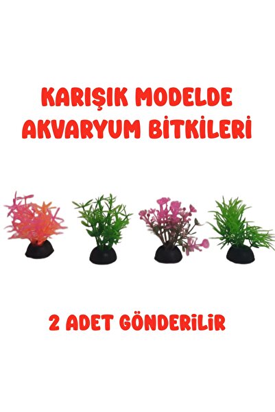 Akvaryum Bitkisi (Küçük Boy ) 2 Adet Gönderilir ( Karışık Modelde Gönderilir )