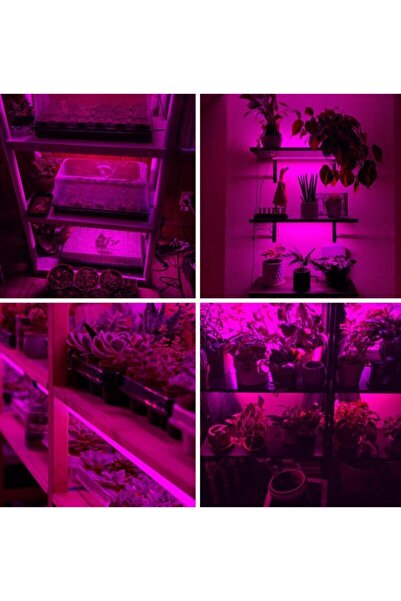 Spectra Tam Spektrum Bitki Yetiştirme (geliştirme ) 3 Metre Şerit Led (adaptör Dahil) 380-740 Nm