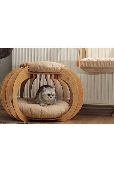 Lucky Petties Pumpkin - Bal Kabağı Kedi Evi - Huş Ağacından Üretilmiş Marine Kontrplak