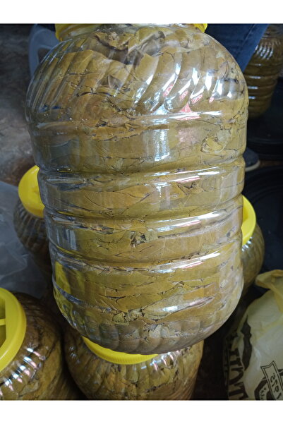 BOLAT Salamura yaprak