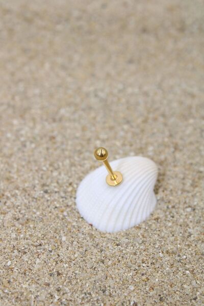 NOBLE GETTO Piercing Cerrahi Çelik Piercing Kıkırdak Tragus Conch Helix Gold Renk Top Çap 3 Mm Labret