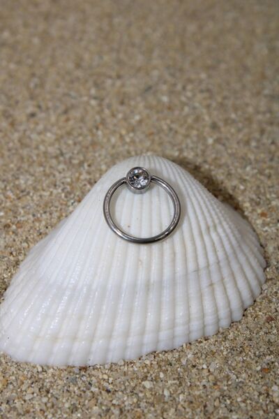 NOBLE GETTO Piercing Cerrahi Çelik Zirkon Taşlı Sıkıştırma Halka Kıkırdak Septum Tragus Conch Helix Silver Renk