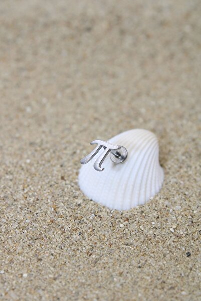 NOBLE GETTO Piercing Cerrahi Çelik Piercing Kıkırdak Tragus Conch Helix Silve...