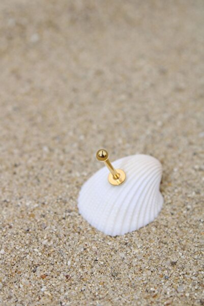 NOBLE GETTO Piercing Cerrahi Çelik Piercing Kıkırdak Tragus Conch Helix Gold Renk Top Çap 2,50 Mm Labret