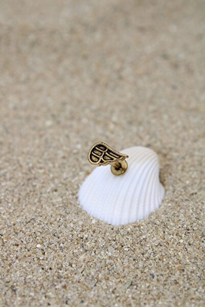 NOBLE GETTO Piercing Cerrahi Çelik Piercing Kıkırdak Tragus Conch Helix Gold ...