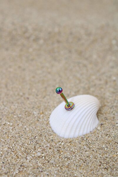 NOBLE GETTO Piercing Cerrahi Çelik Piercing Kıkırdak Tragus Conch Helix Gökkuşağı Renk Top Çap 2.50 Mm Labret