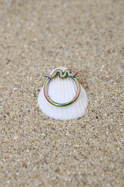 NOBLE GETTO Piercing Cerrahi Çelik Piercing Klipsli Kıkırdak Septum Tragus Conch Helix Gökkuşağı Renk Yılan