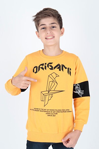 AHENGİM Boy's Origami Printed Sweatshirt - Ak15160