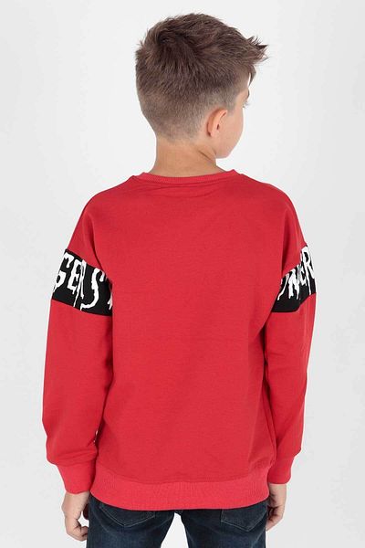 AHENGİM Boy's Trend Printed Sweatshirt - Ak15106