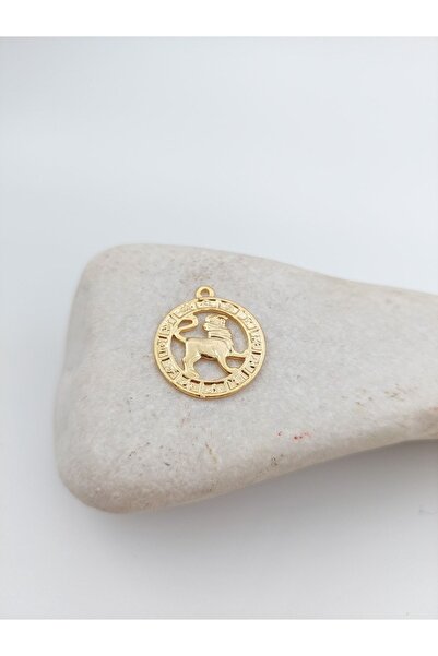 takitokaciniz Aslan Burcu Kolye Küpe Aparatı