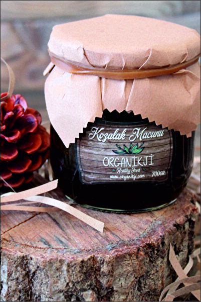 Organikji Kozalak Macunu (425cc)