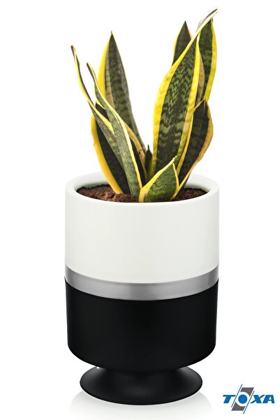 ToXA Süzgeçli Drenajlı 1.6 Litre Ayaklı Kordon Dik Saksı Plastik Çiçek Saksıs...