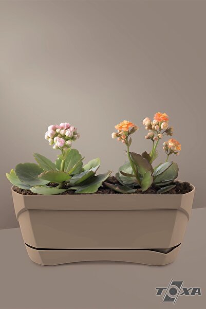 ToXA Modern Balkon Saksısı 6.6 Litre Kahve 45cm Tabaklı Delikli Plastik Saksı...