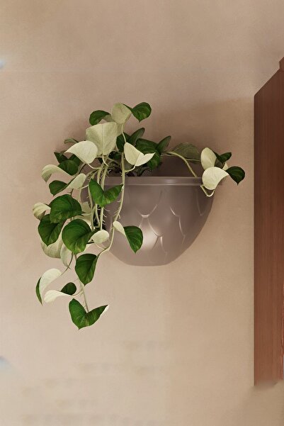 ToXA 1.4 Litre Kahverengi Yarım Duvar Balkon Saksısı Bahçe Duvarı Mat Plastik Saksı Damla No1 24,5x15,5cm