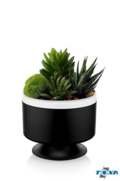 ToXA Güveç Dik Ayaklı Saksı 1.1 Litre Siyah Aranjman Menekşe Sukulent Saksısı