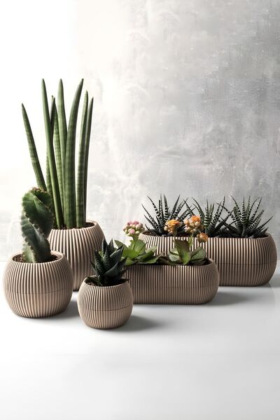 ToXA 5 Parça Karasu Plastik Mercan Saksı Seti Bej Kaktüs Sukulent Saksısı Set