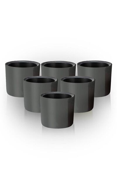 ToXA 6 Adet Mimoza 7cm Antrasit 0,2 Litre Mini Boy Kaktüs Sukulent Saksısı Sü...