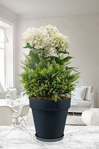 ToXA 6 Litre Ø24x22cm Mat Antrasit Gri Renk Tabaklı Izgaralı Dekoratif Plasti...