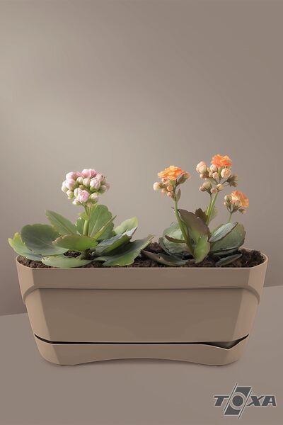 ToXA Modern Balkon Saksısı 5 Litre Kahve 35cm Tabaklı Delikli Plastik Saksı No1