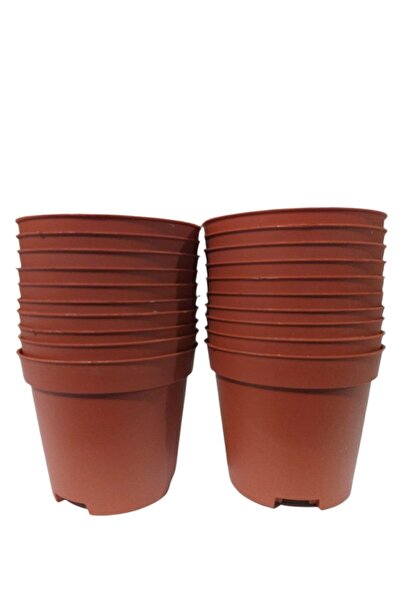 SERİNOVA Ucuz Marketim Kaktüs & Sukulent Üretim Saksı 8 cm 10 Adet