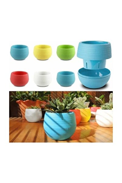 SERİNOVA Elvan Bitki Ve Kaktüs Saksısı 0.13 Litre - 9'lu Set