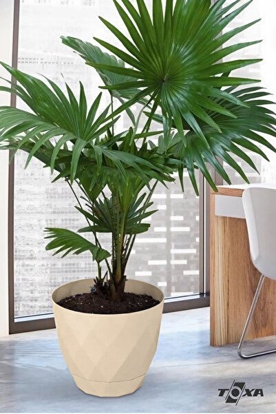 Blackwater Yakamoz Plastic Flower Pot No5 9.2 Liter Beige