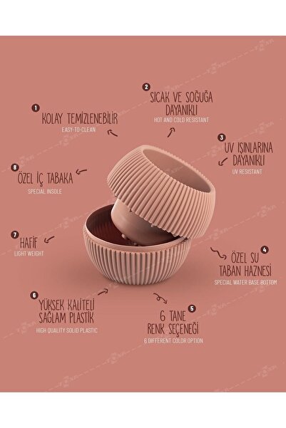 ToXA 5 Parça Karasu Plastik Mercan Saksı Seti Soft Pembe Kaktüs Sukulent Saksısı Set