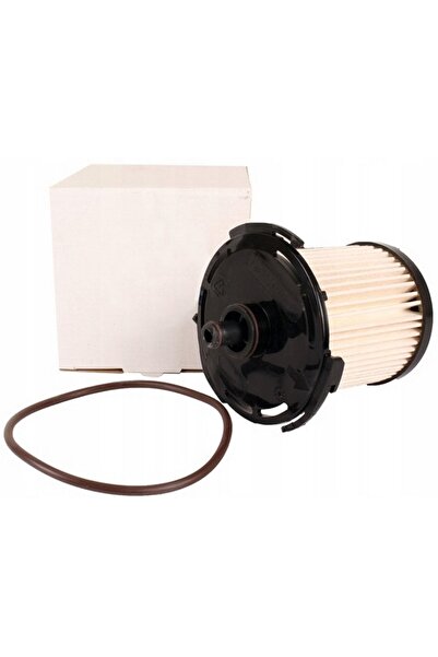 CARSFİL Cc119176bc Ford Transit Ve Custom V362 V363 Mazot Filtresi