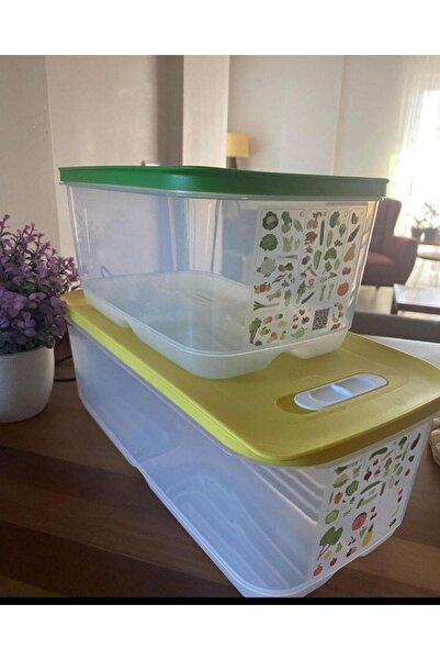 Tupperware Greenhouse Storage Container 4.4 Lt and 6.1 Lt 2 Liters