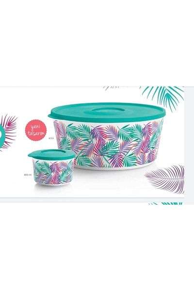 Tupperware Deluxe Set of 2 Storage Carrying