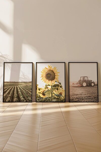 Postifull Farmhouse Ayçiçeği Tablo Seti, 3 Adet Siyah Çerçeve ve Poster - Salon, Mutfak, Yatak Odası Dekor
