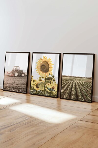 Postifull Farmhouse Ayçiçeği Tablo Seti, 3 Adet Siyah Çerçeve ve Poster - Salon, Mutfak, Yatak Odası Dekor