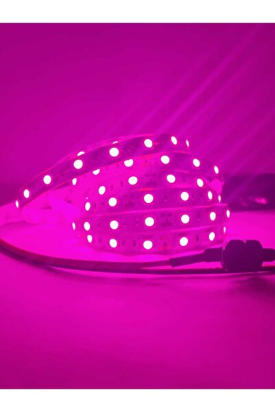 Spectra Full Spectrum Bitki Yetiştirme (geliştirme ) 2 Metre Şerit Led (adaptör Dahil) 380-740 Nm