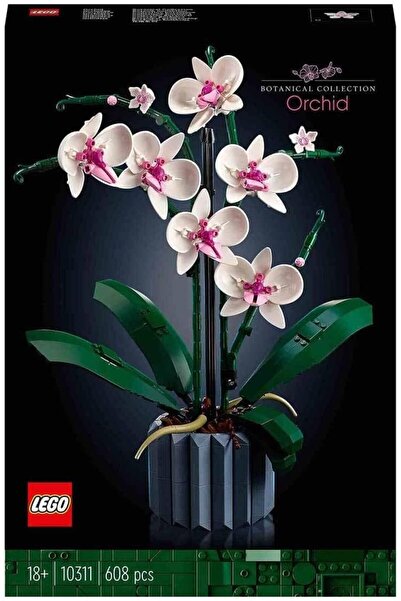Store Modalist Icons Orchid 10311 - Decorative, Collectible and Displayable Flower for Adults